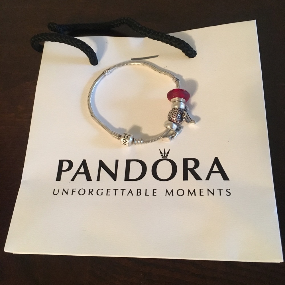 Pandora Bracelet
